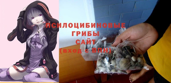 дживик Алексин