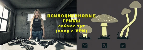 дживик Алексин
