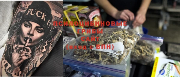 PSILOCYBIN Михайловск