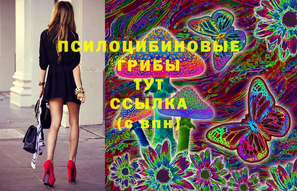 spice Алзамай